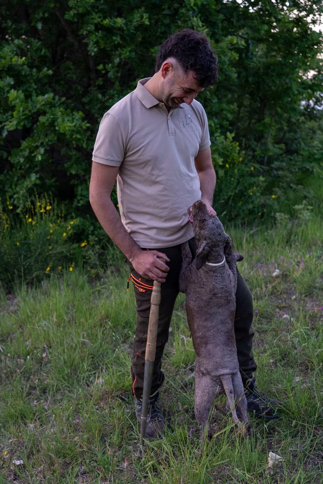 Il cane da tartufo: un compagno unico