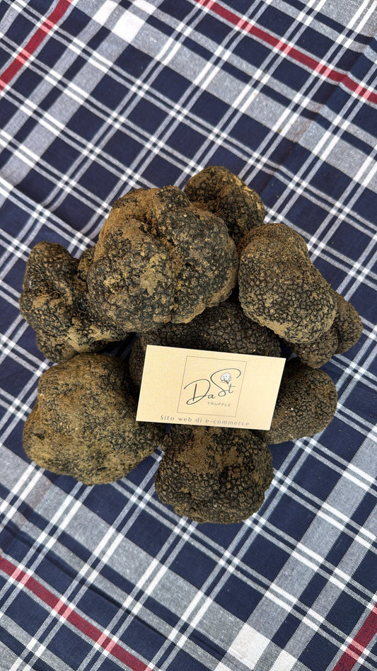 Come conservare il tartufo fresco