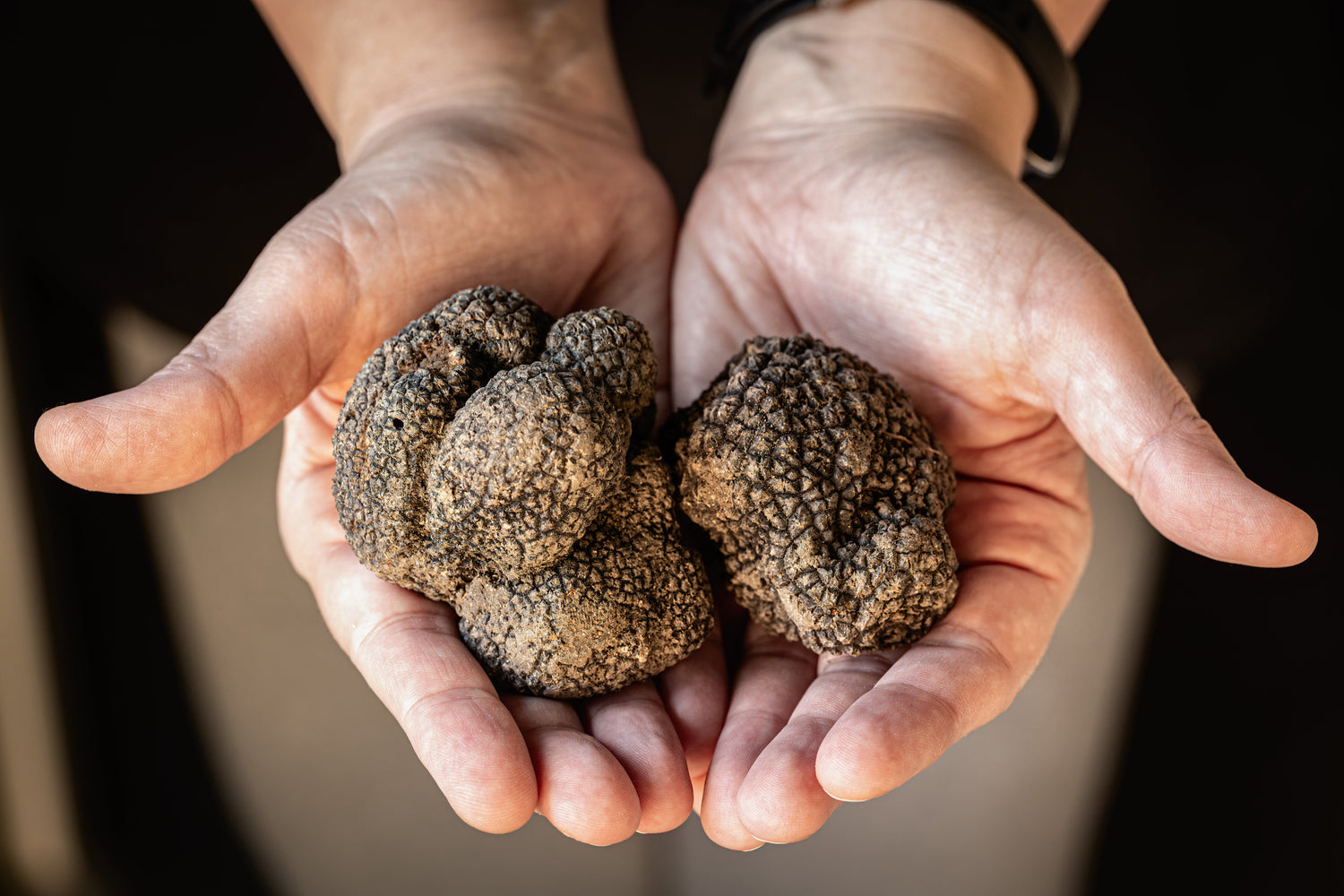 Il Tartufo fresco