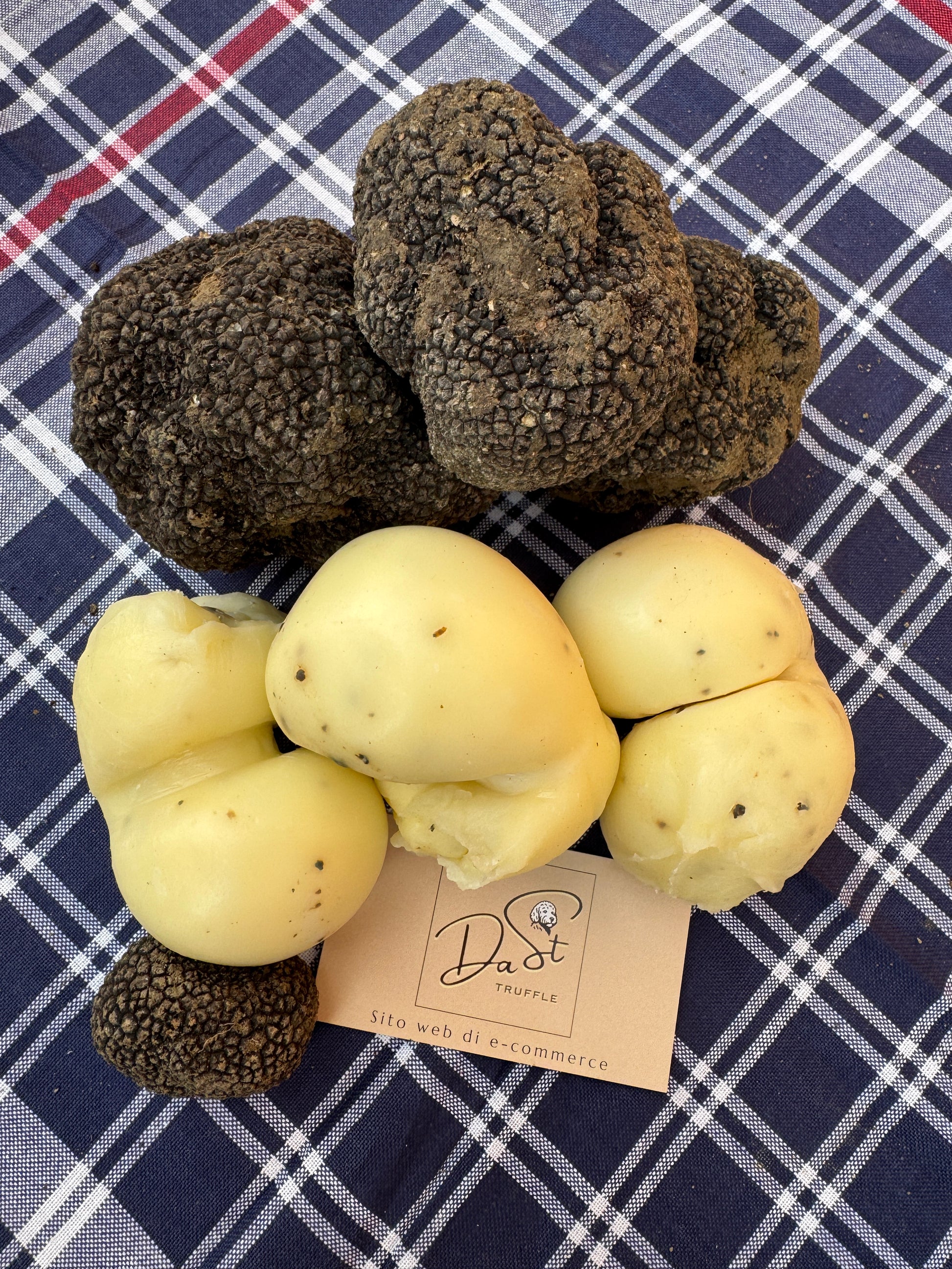 Appassite al Tartufo Dast