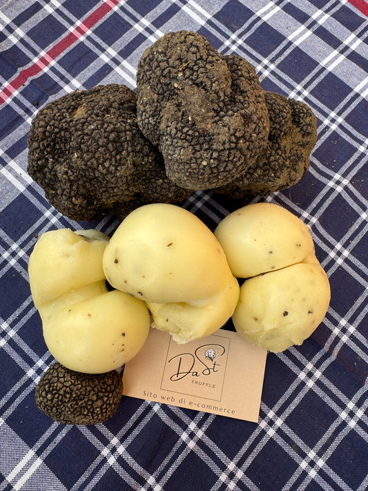 Appassite al Tartufo Dast