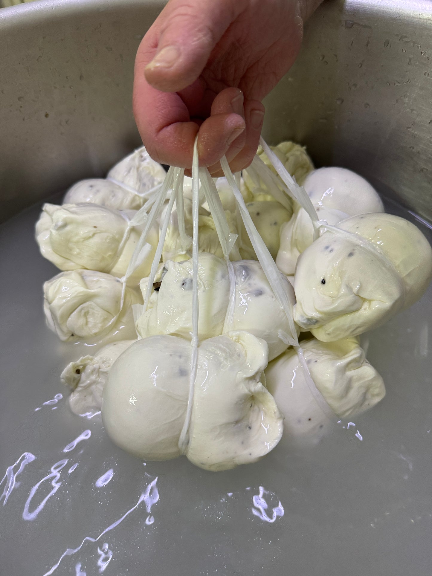 Preparazione Scamorze Appassite al Tartufo