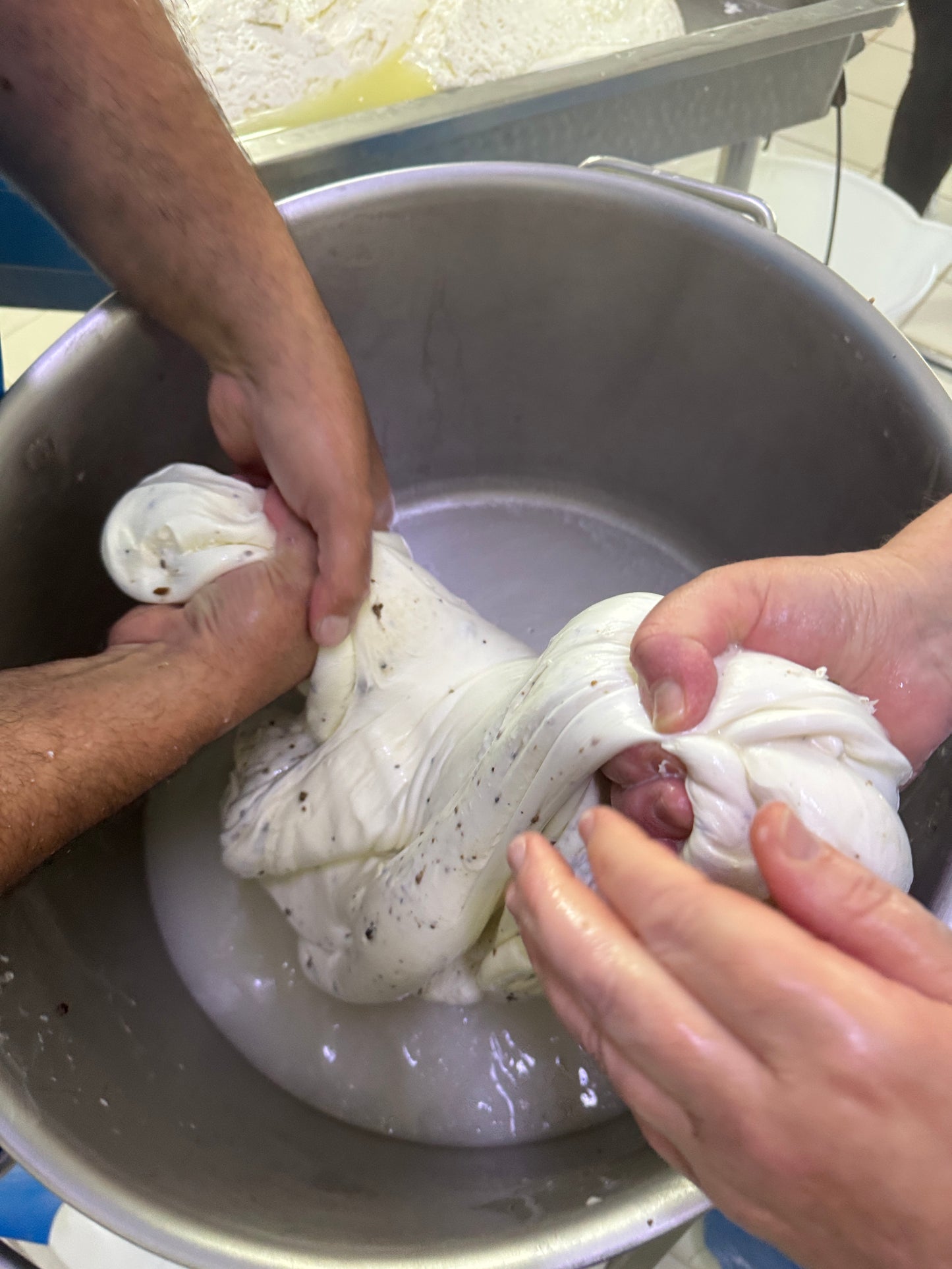 Preparazione Scamorze al Tartufo Molisano