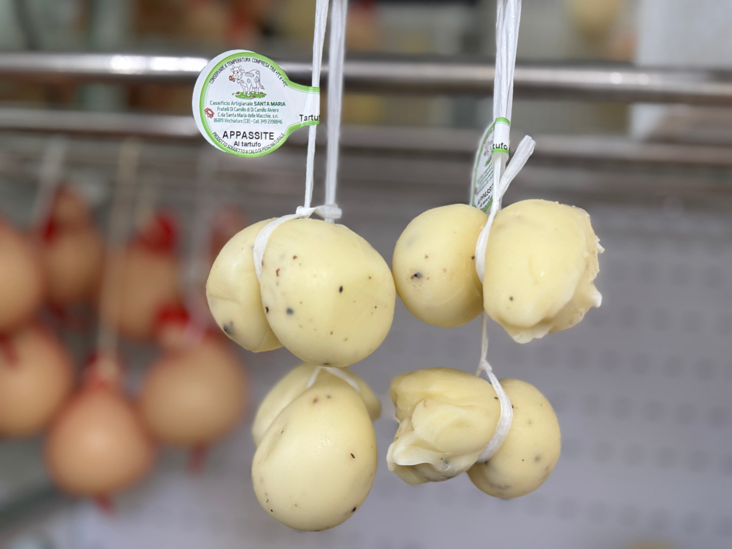 Scamorze Appassite al Tartufo