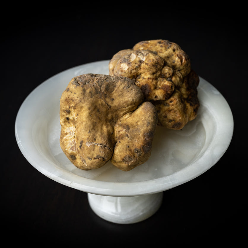 Tartufo Bianco Pregiato