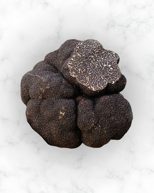 Tartufo Nero Pregiato su marmo