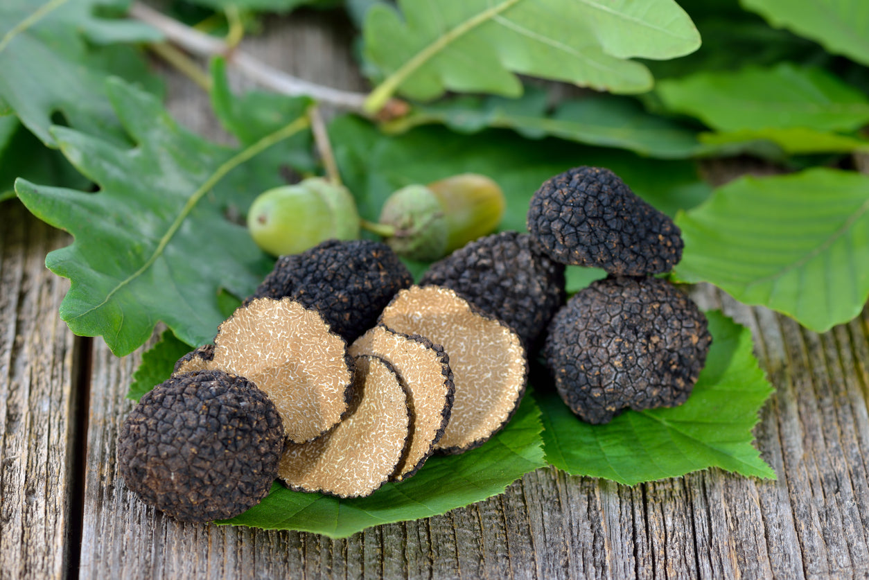 Tartufo Nero Uncinato su legno
