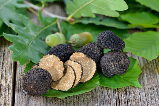 Tartufo Nero Uncinato su legno